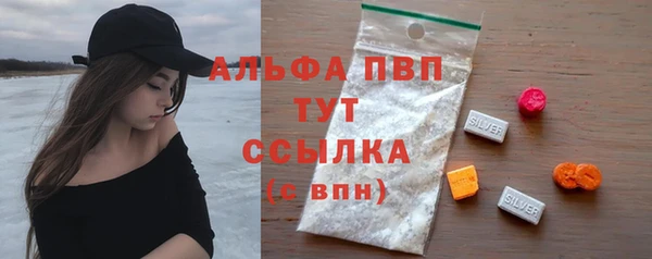 стаф Майский