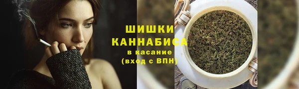стаф Майский