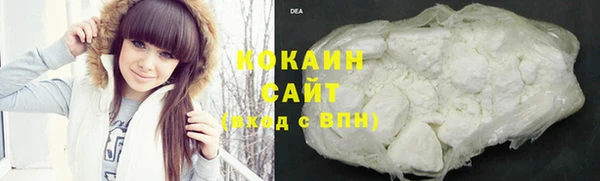 шишки Лиски