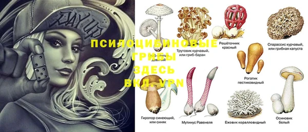 дмт Липки