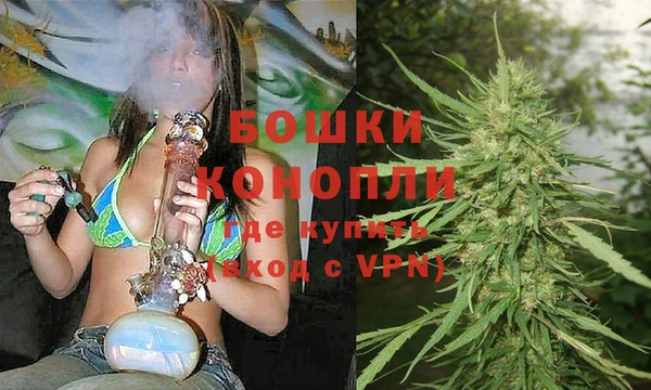 стаф Майский