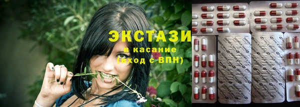 стаф Новодвинск