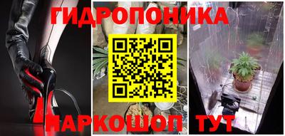 сатива Беслан