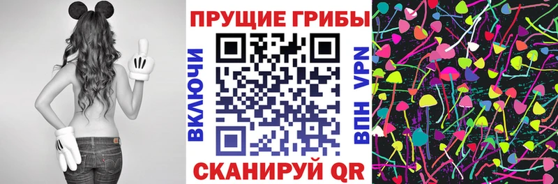Псилоцибиновые грибы мицелий  где купить наркотик  mega сайт  Шебекино 